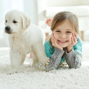 Pet Stain Cleaning